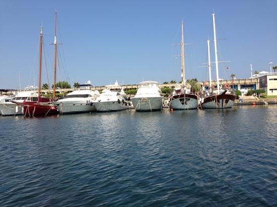 Urban municipality view